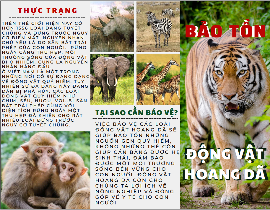  Chương trình Quốc gia về bảo tồn các loài động vật hoang dã nguy cấp, quý, hiếm